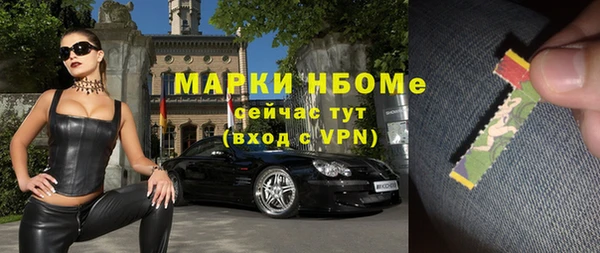 индика Балахна