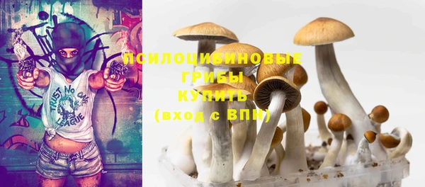 индика Балахна