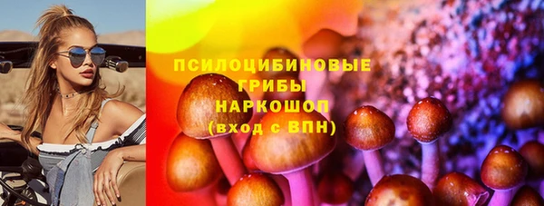 индика Балахна