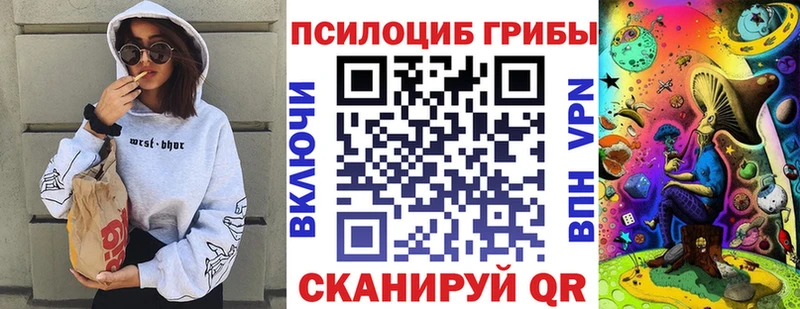 Галлюциногенные грибы Psilocybine cubensis продажа наркотиков omg вход Белогорск